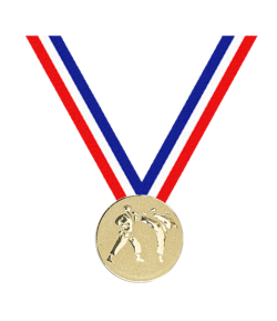 Médaille Karaté