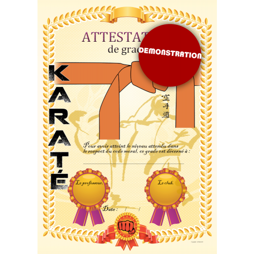 Certificate orange belt